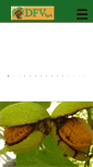 Mobile Screenshot of dfv.cl